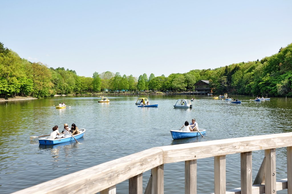 🌳 이가시라 공원 (이가시라 코우엔) 이미지 1